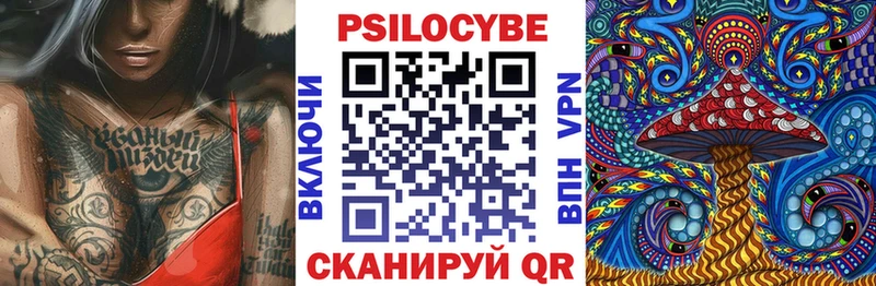 Псилоцибиновые грибы Cubensis блэк спрут зеркало Соль-Илецк